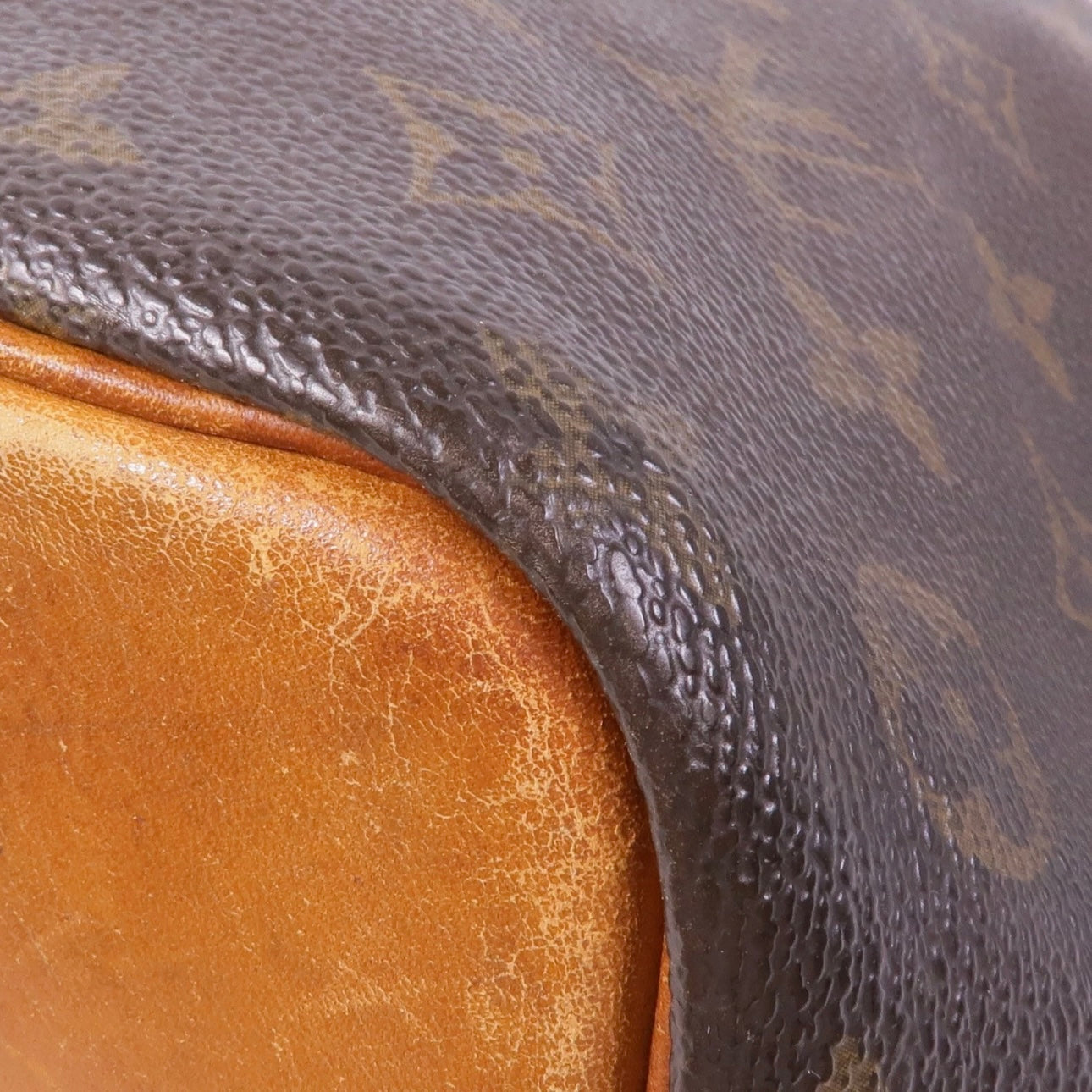 Louis Vuitton Petit Noe