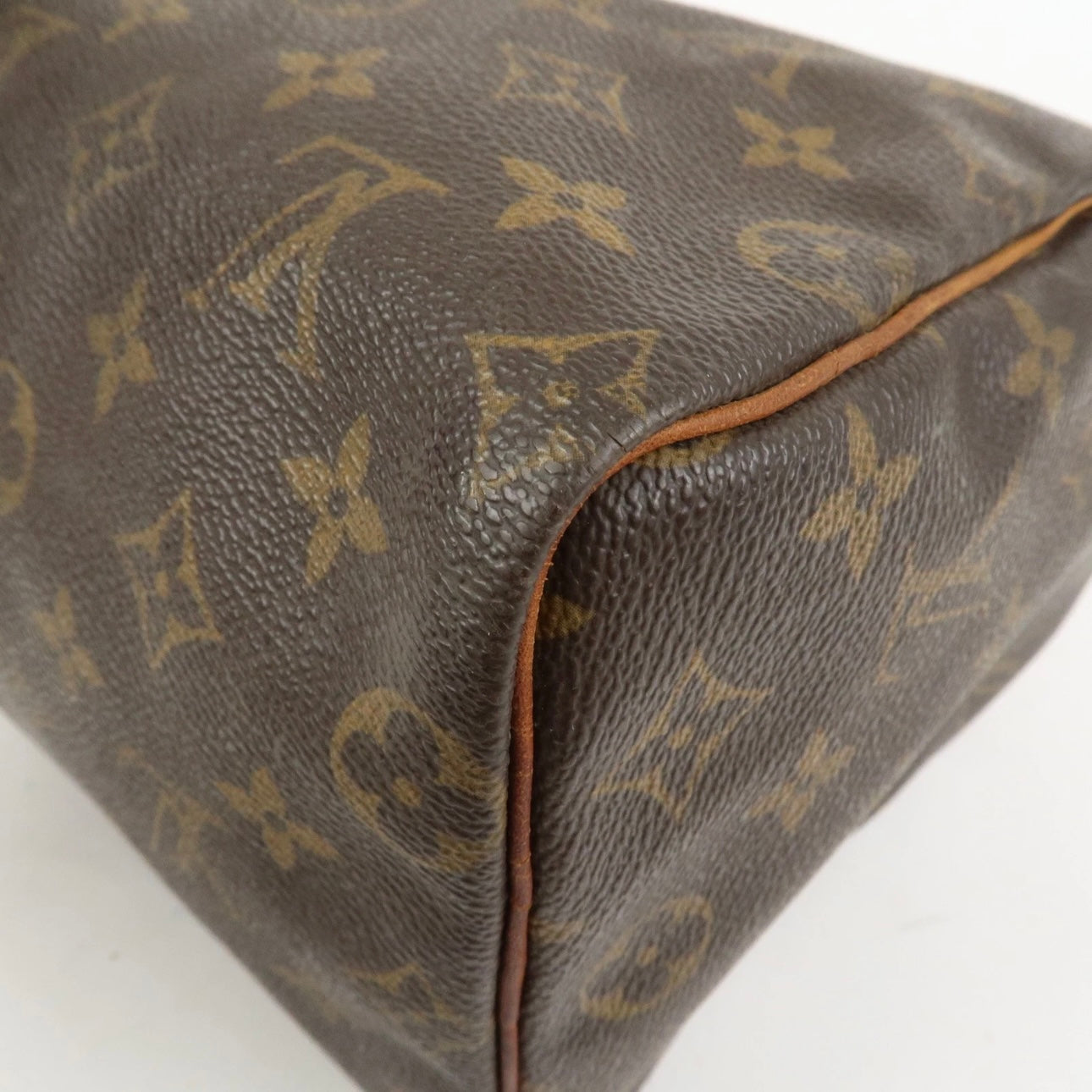 Louis Vuitton Speedy 25