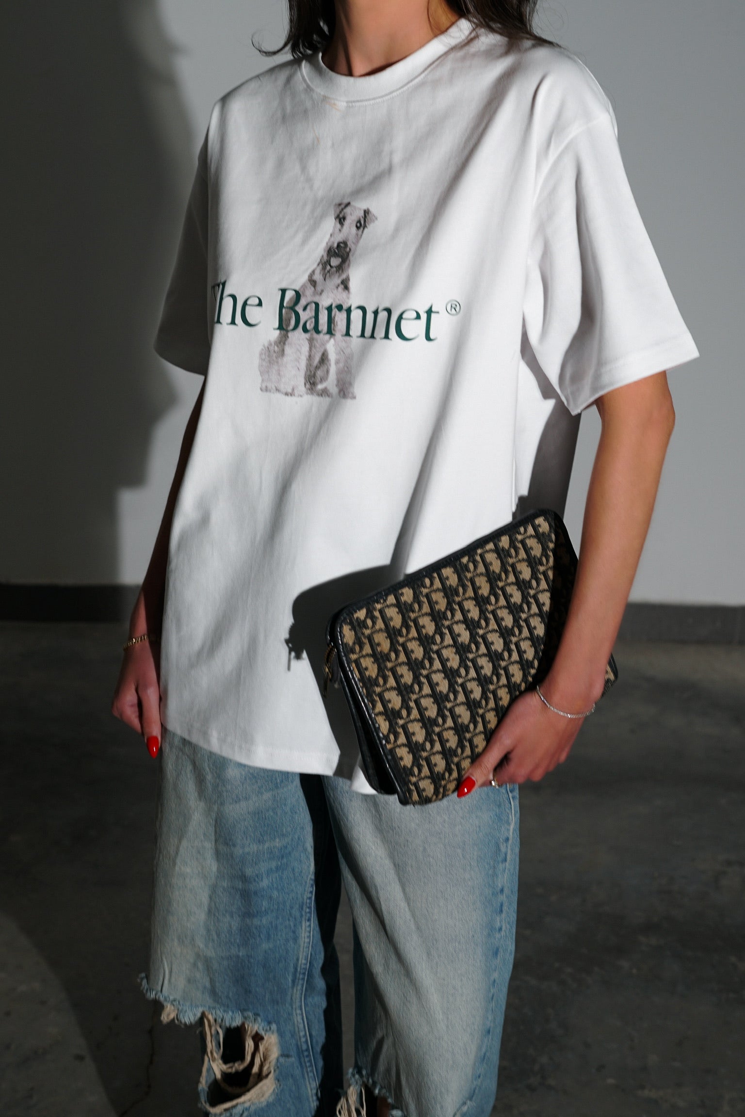 Dior Vintage Trottter Clutch