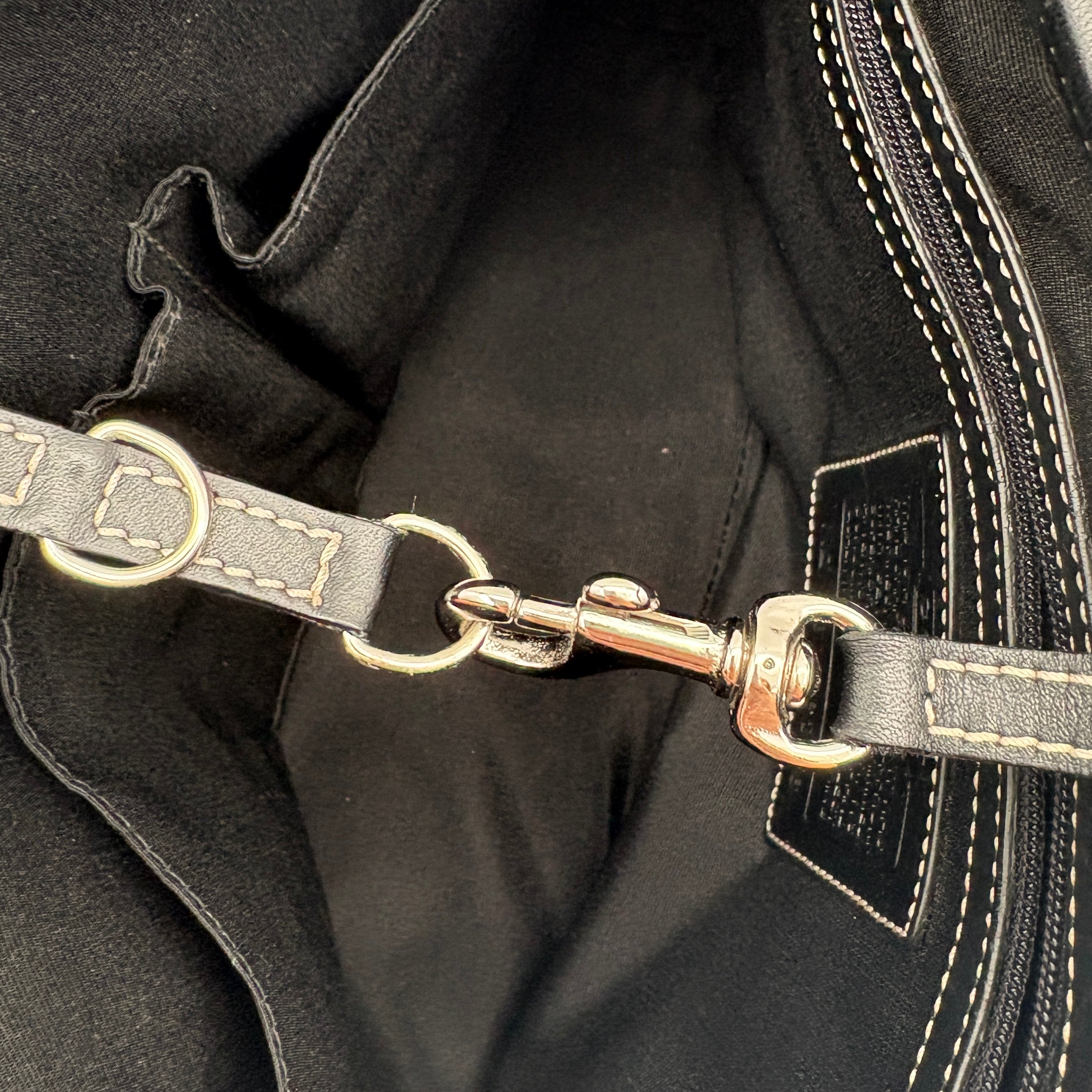 Coach Signature canvas bag