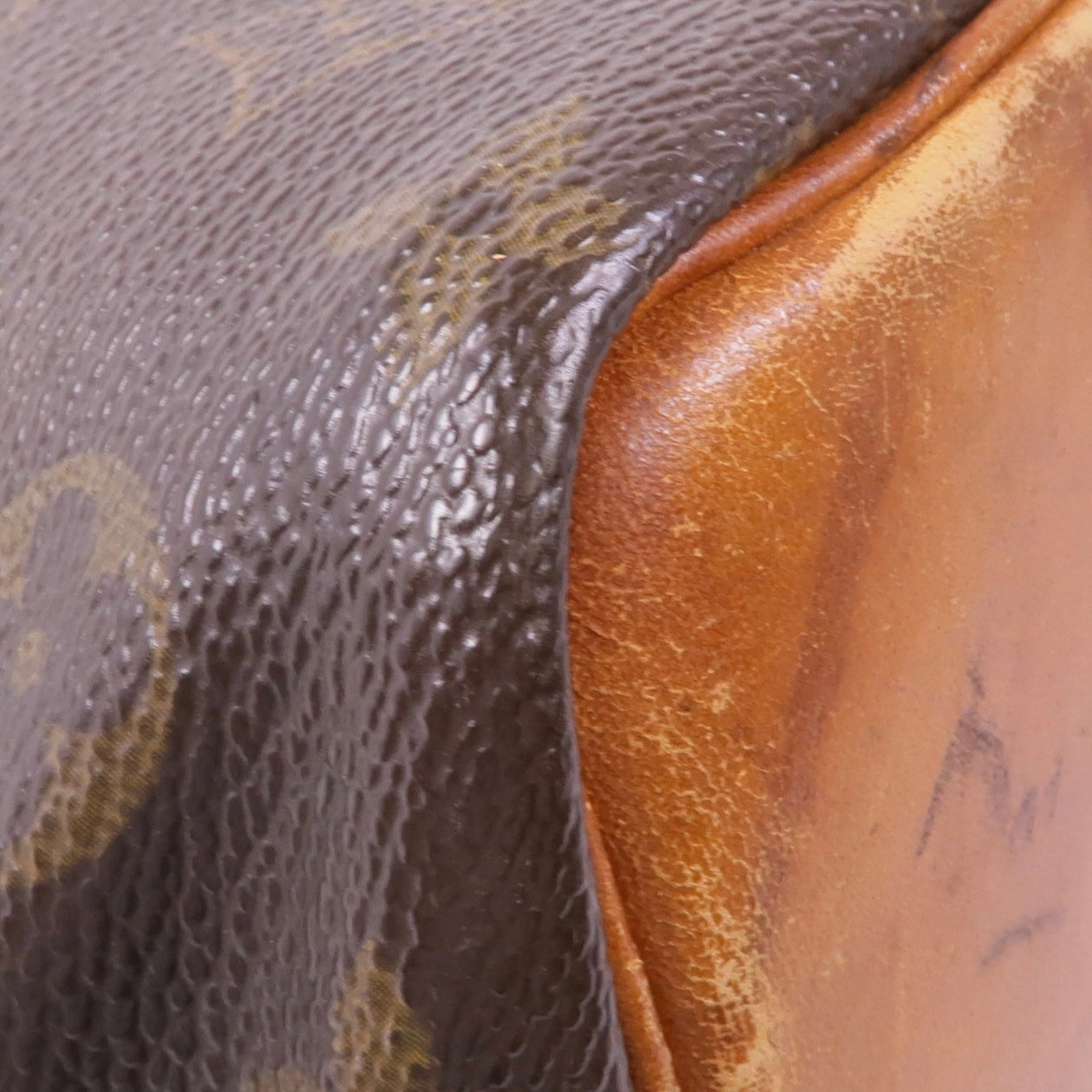 Louis Vuitton Petit Noe