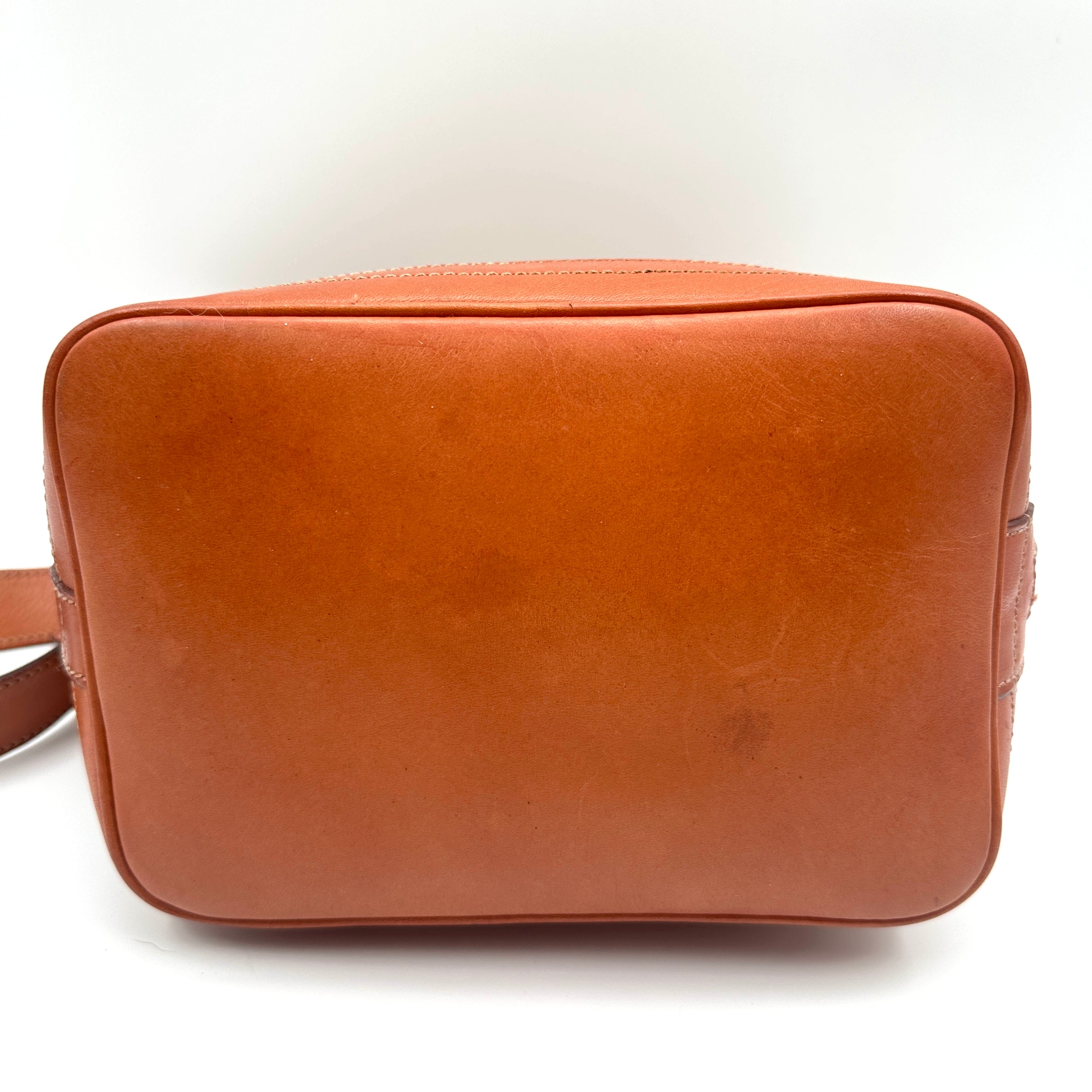 Pvc Triomphe Macadam Shoulder Bag