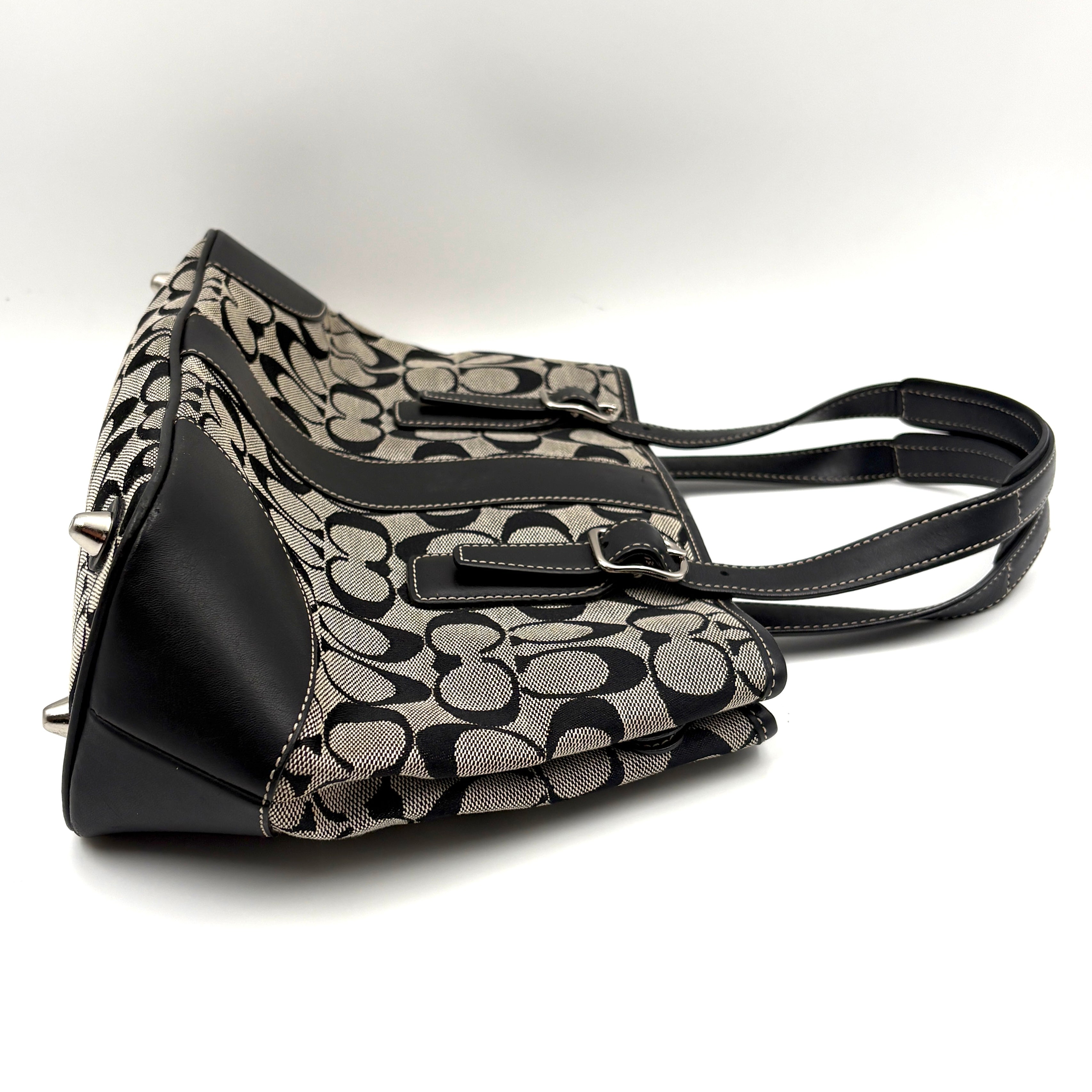Coach Signature canvas bag