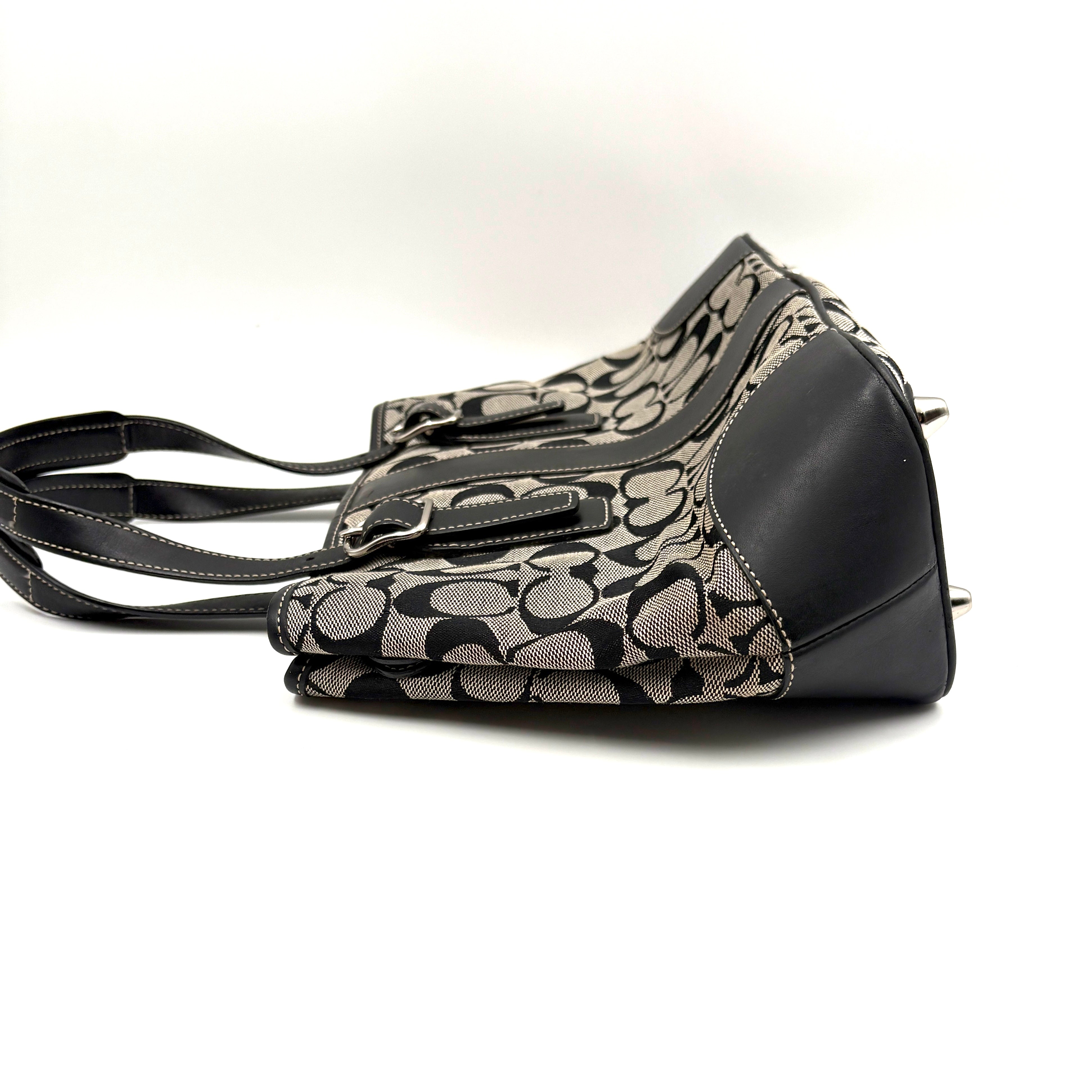 Coach Signature canvas bag