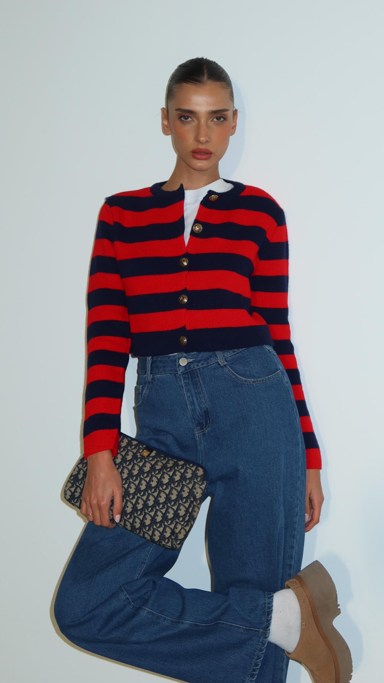 Dior Trotter vintage Clutch