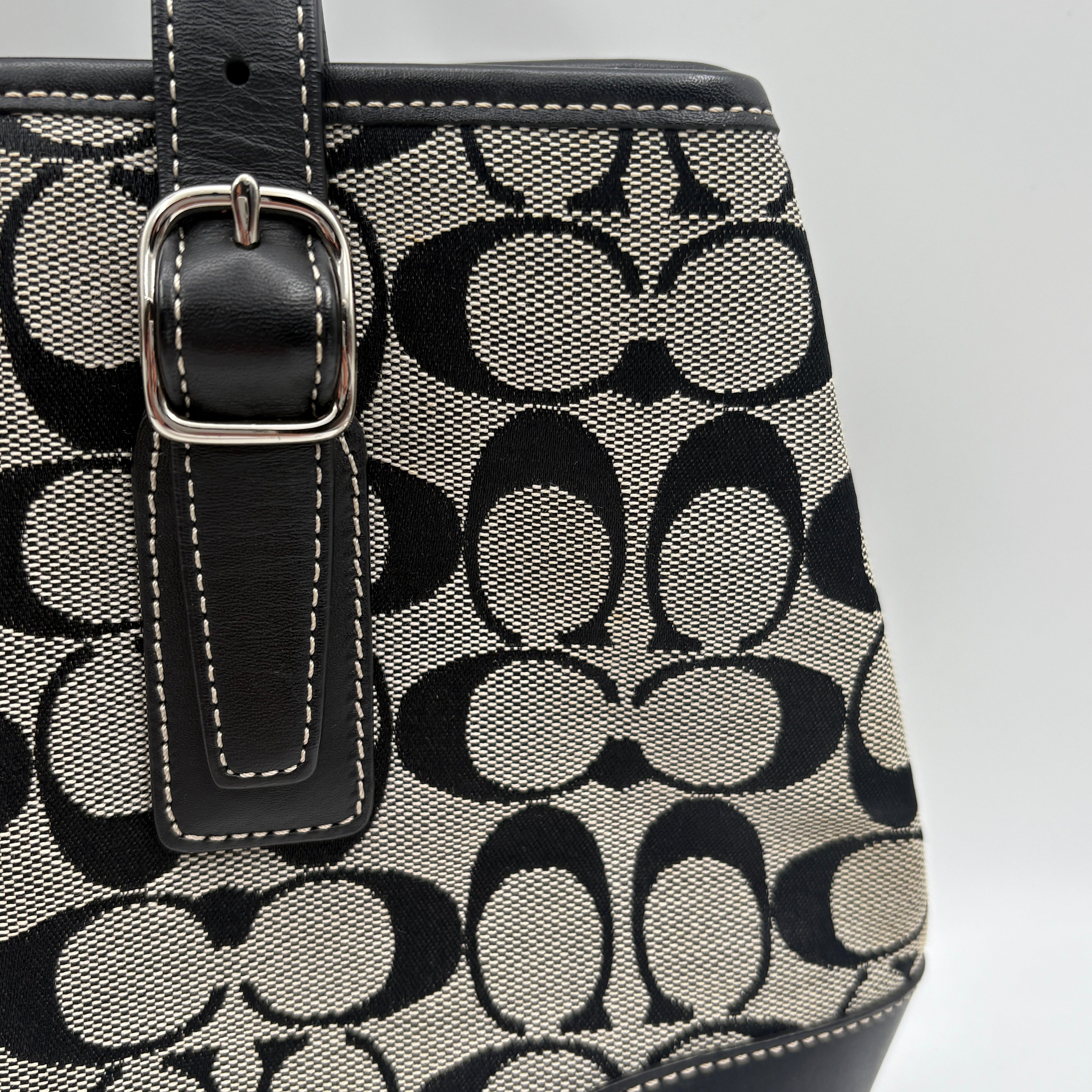 Coach Signature canvas bag