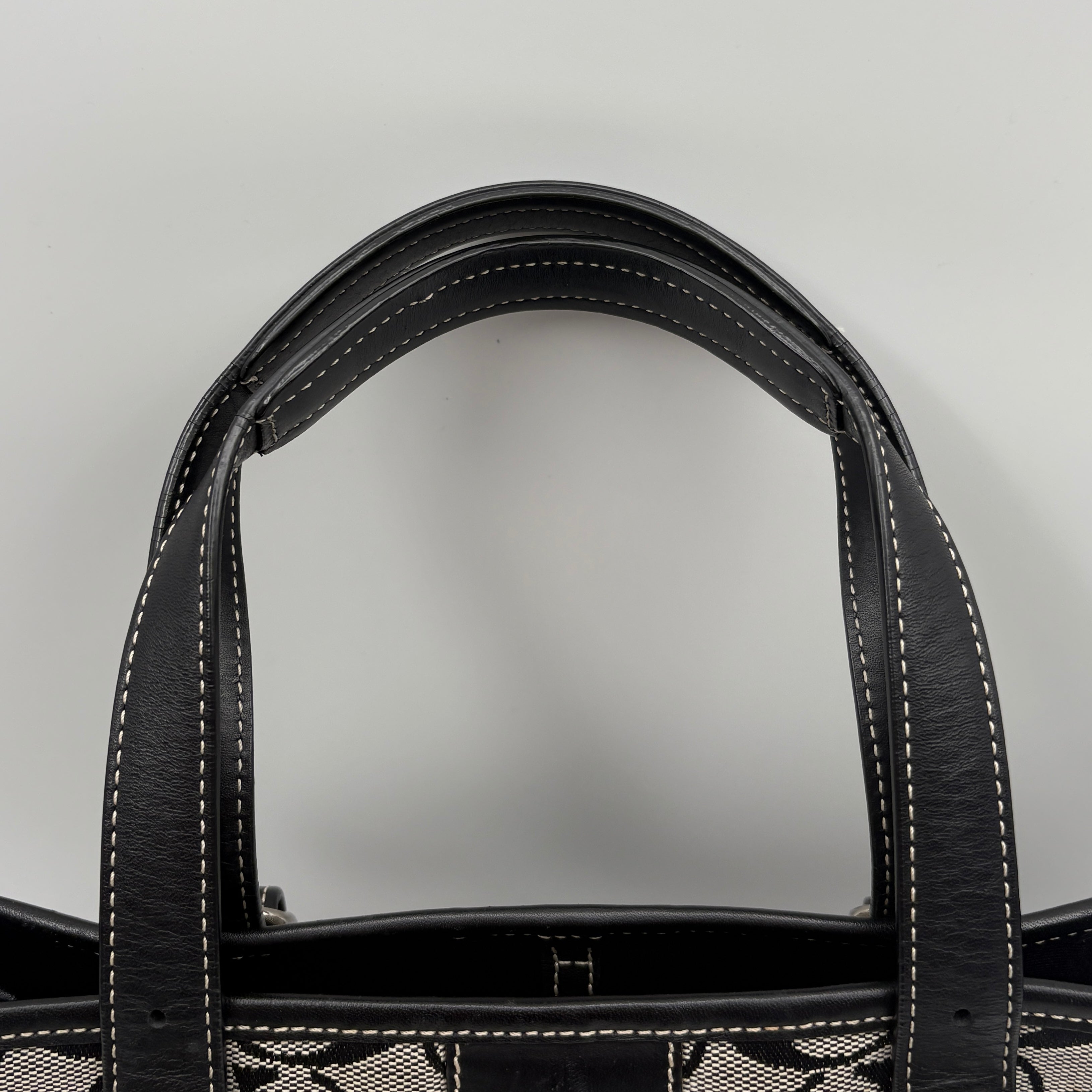 Coach Signature canvas bag