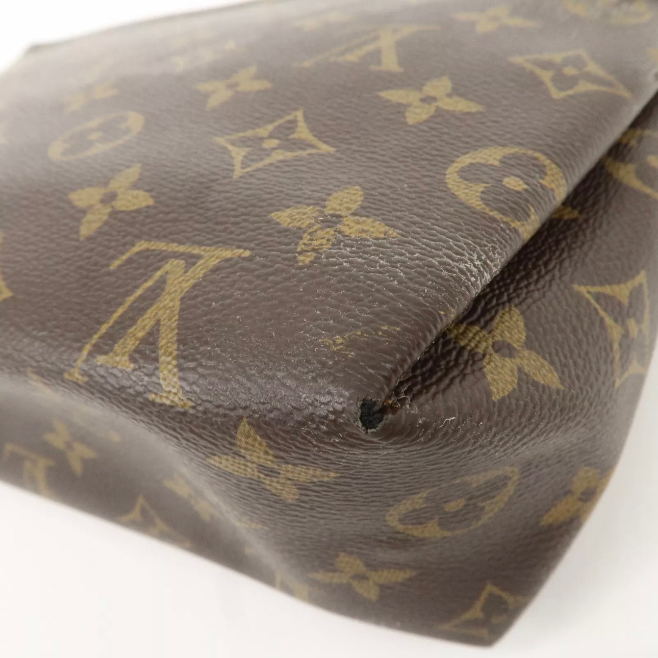 Louis Vuitton Monogram Pallas Case clutch