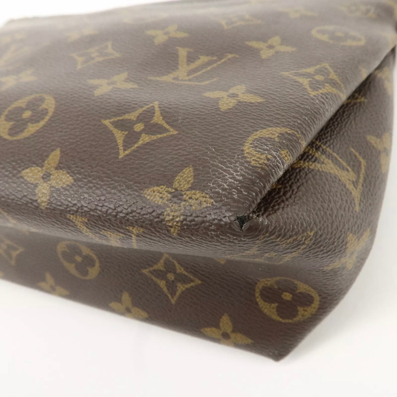 Louis Vuitton Monogram Pallas Case clutch