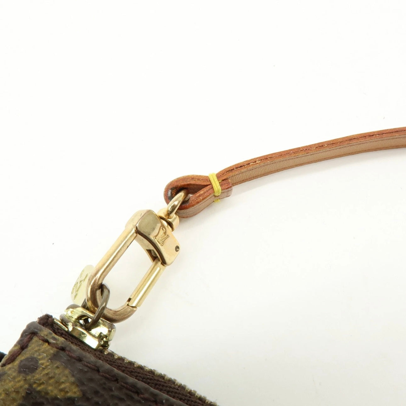 Louis Vuitton Pochette Accessories