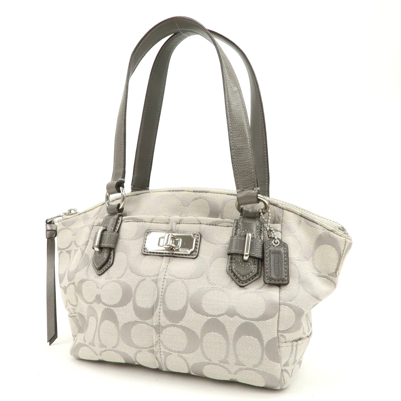 Coach Silver bag