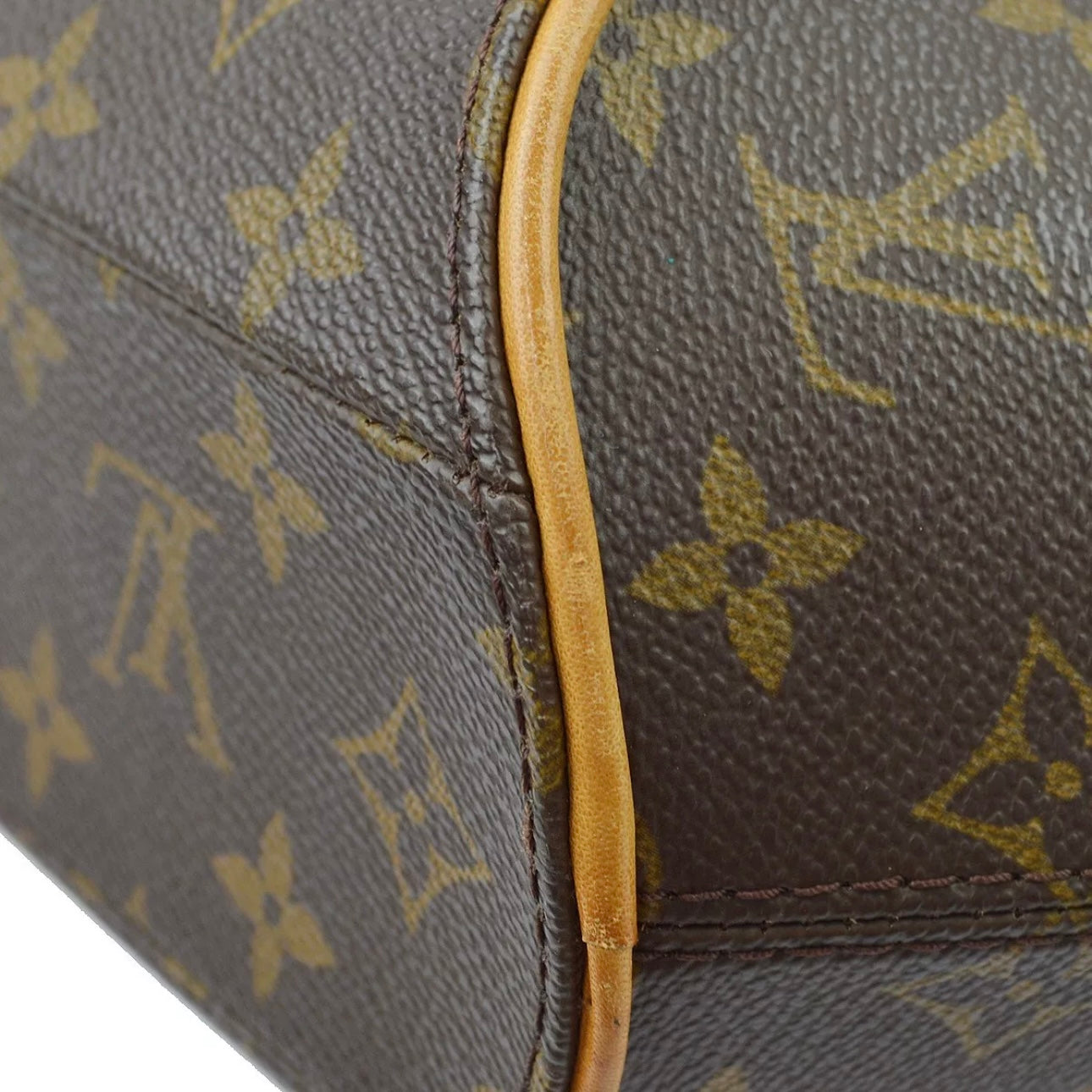 Monogram Ellipse PM Handbag