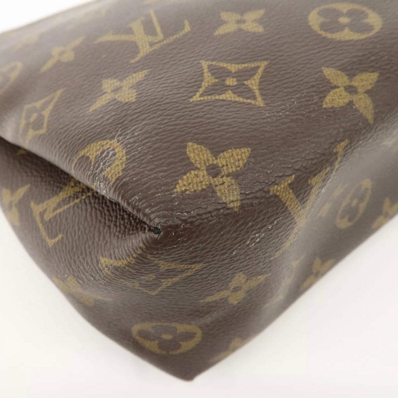 Louis Vuitton Monogram Pallas Case clutch