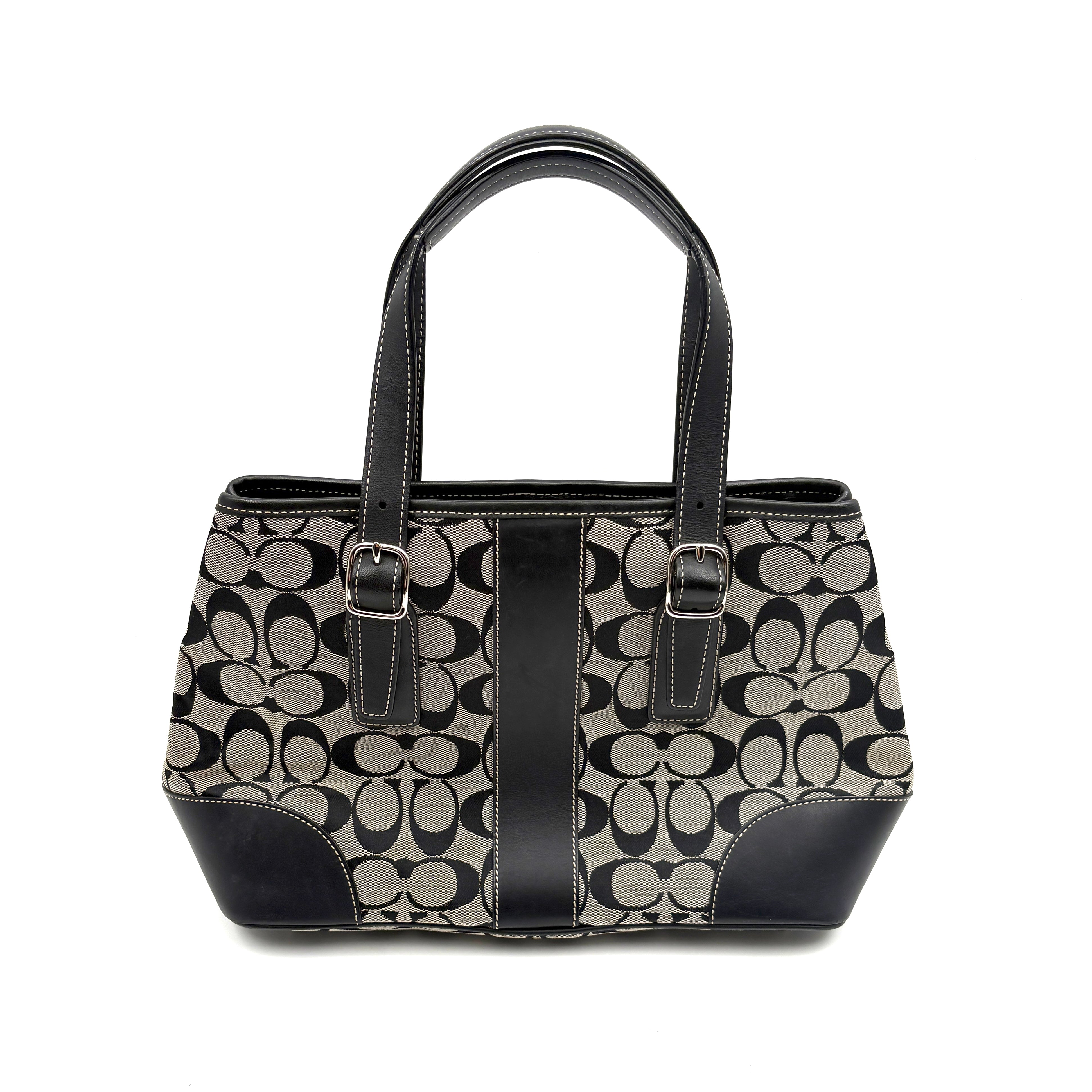 Coach Signature canvas bag