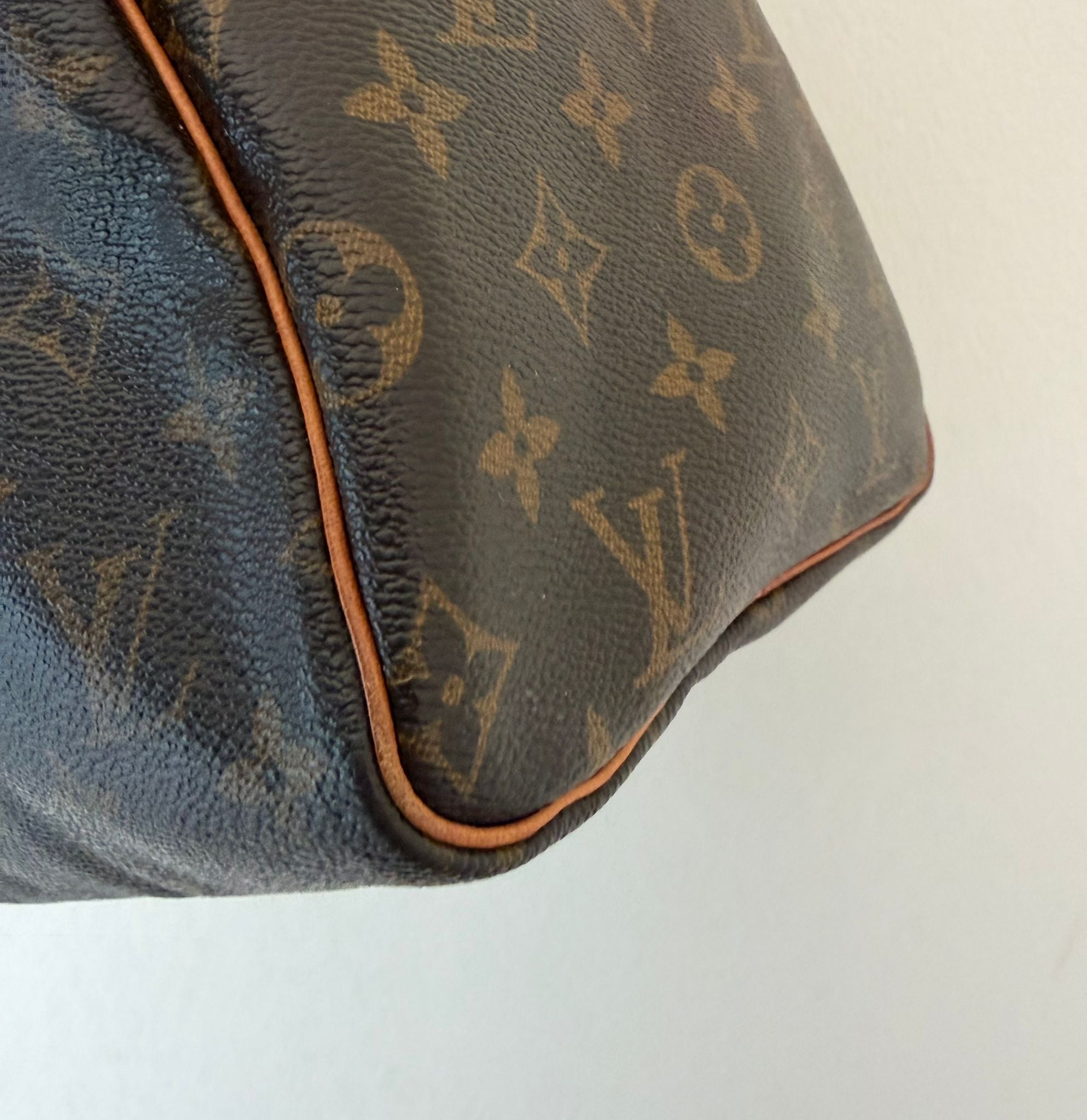 Louis Vuitton Speedy 30