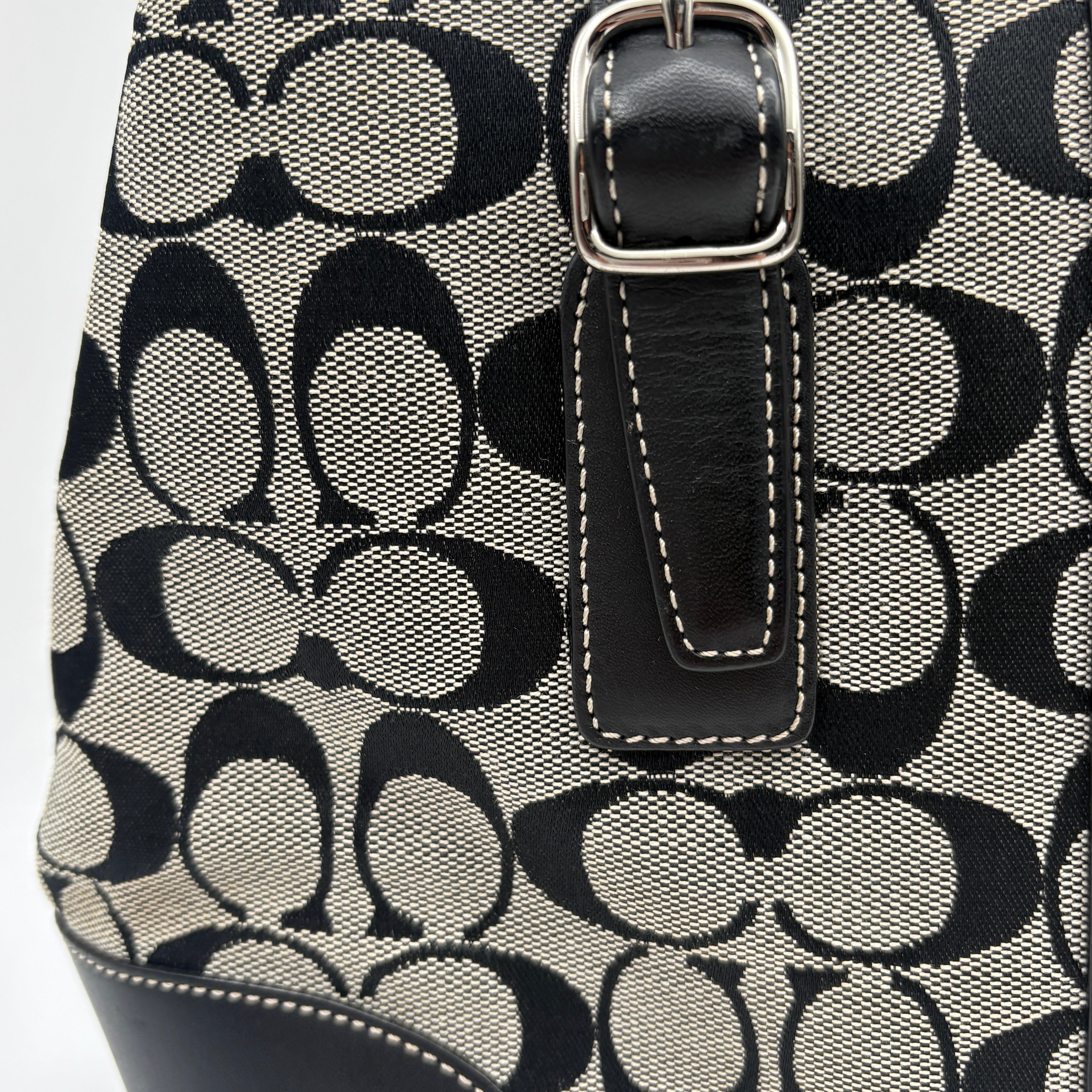 Coach Signature canvas bag