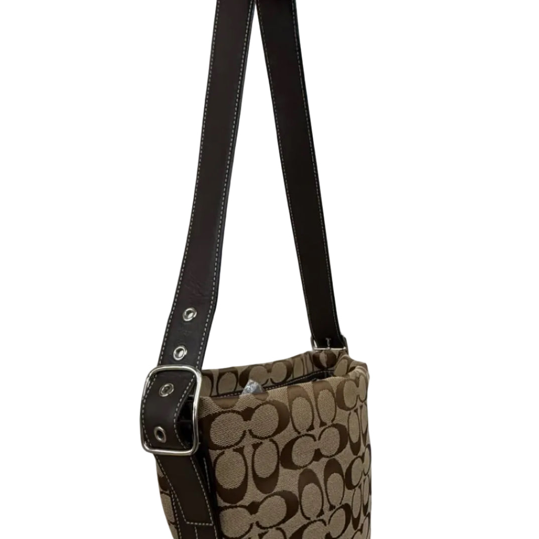 Coach Signature brown bag