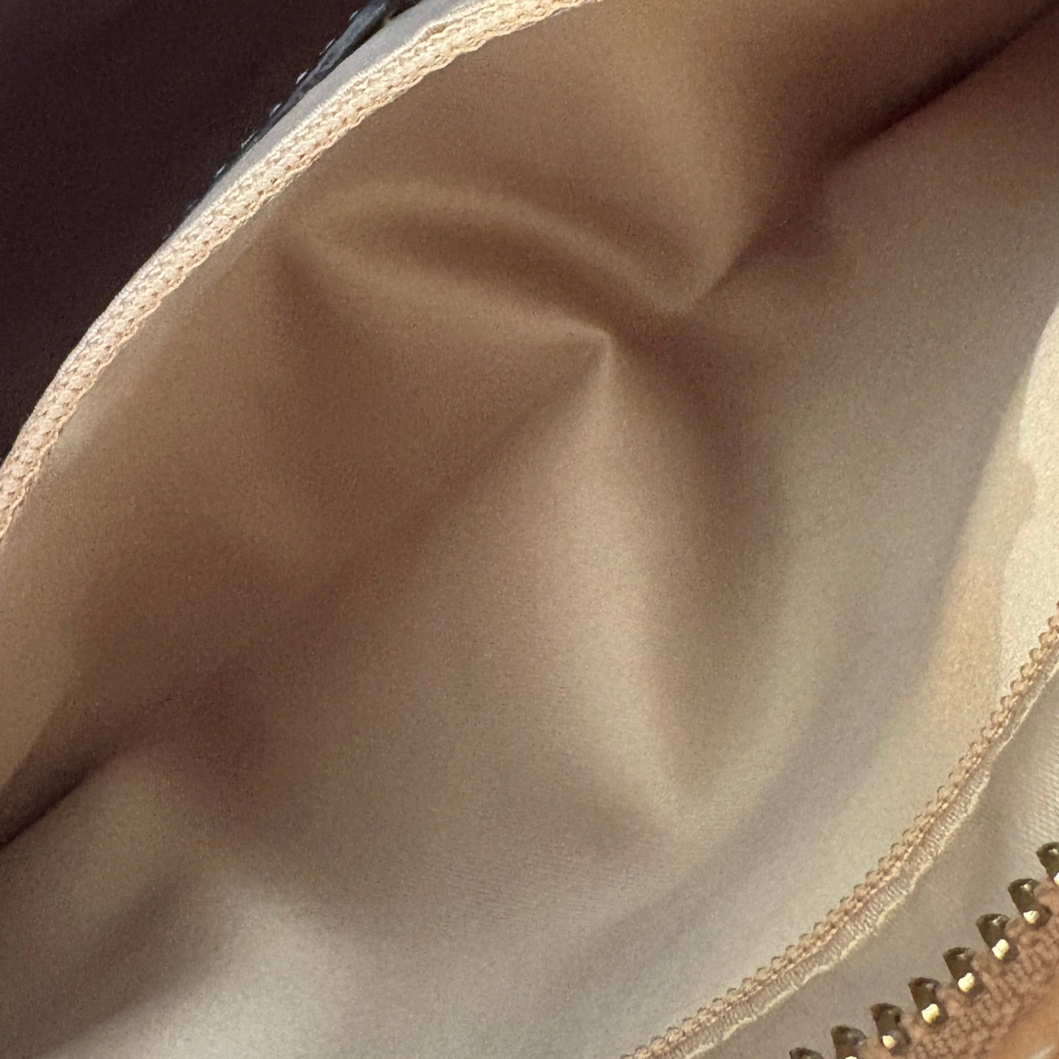 Coach Signature brown bag