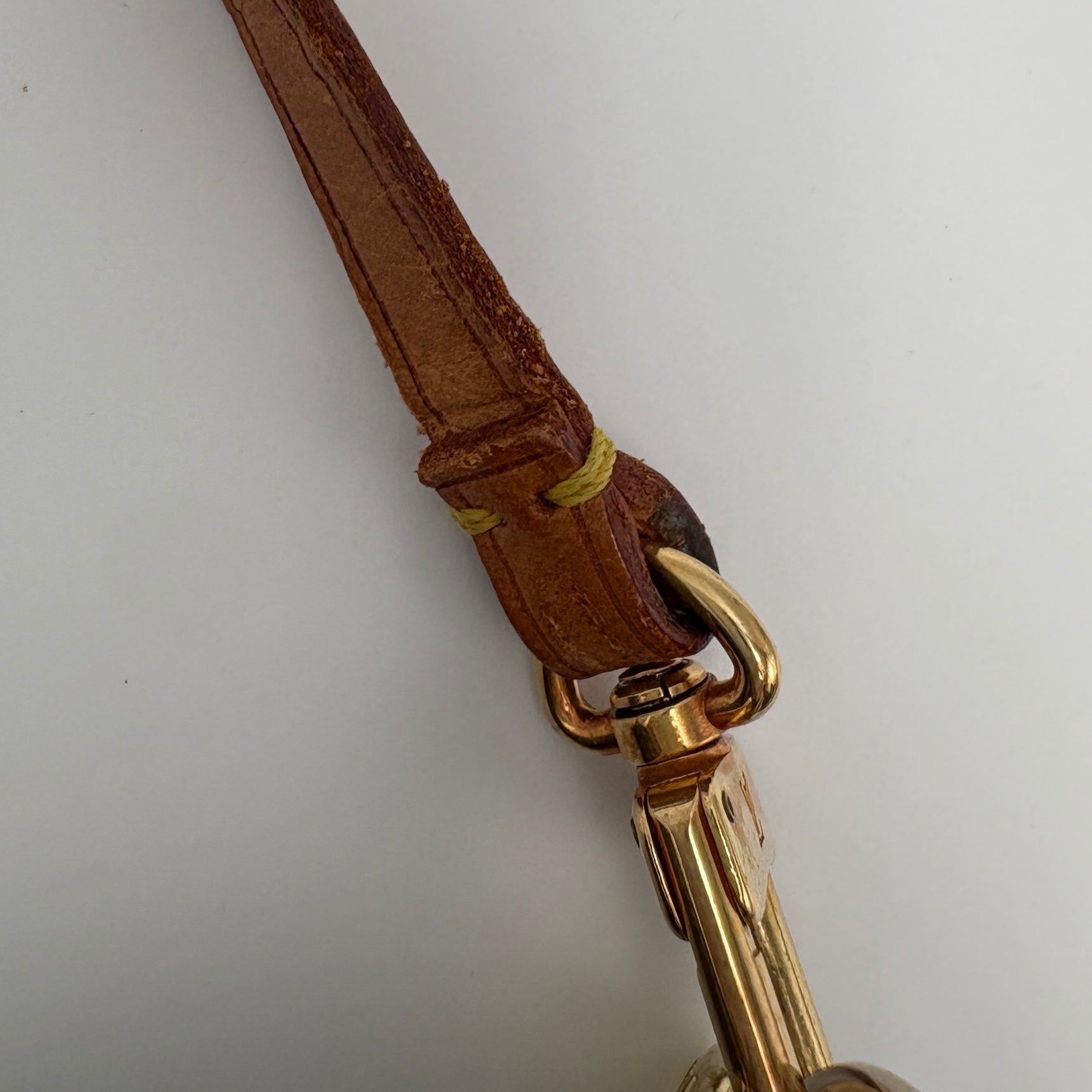 Louis Vuitton Pochette accessories