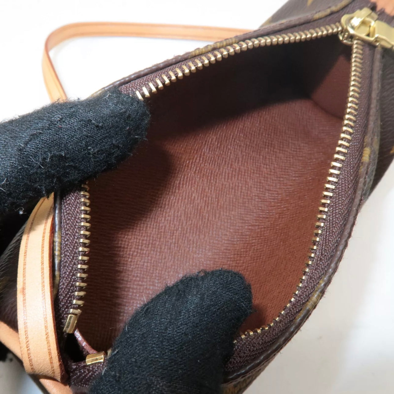 Papillon Mini