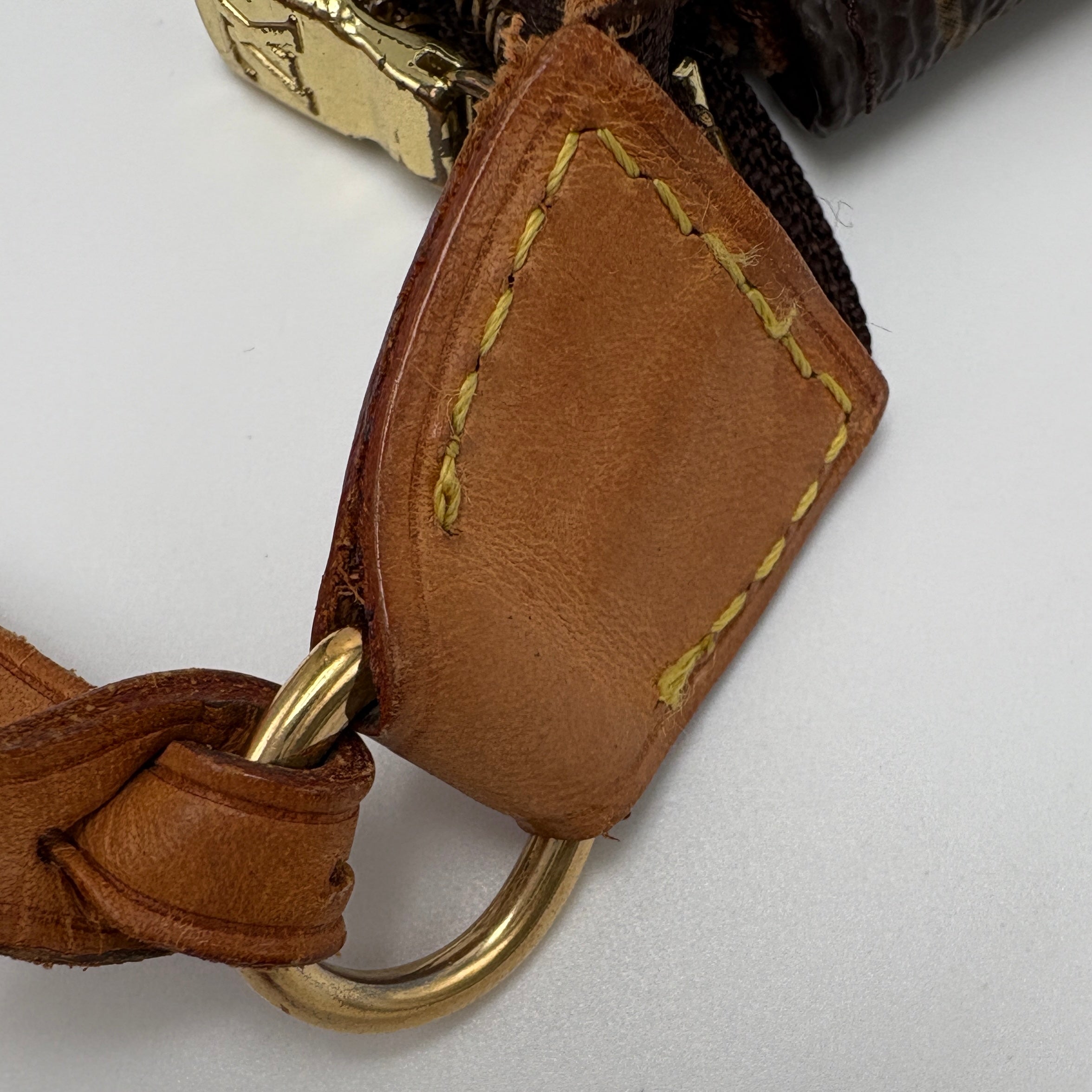 Louis Vuitton Pochette accessories
