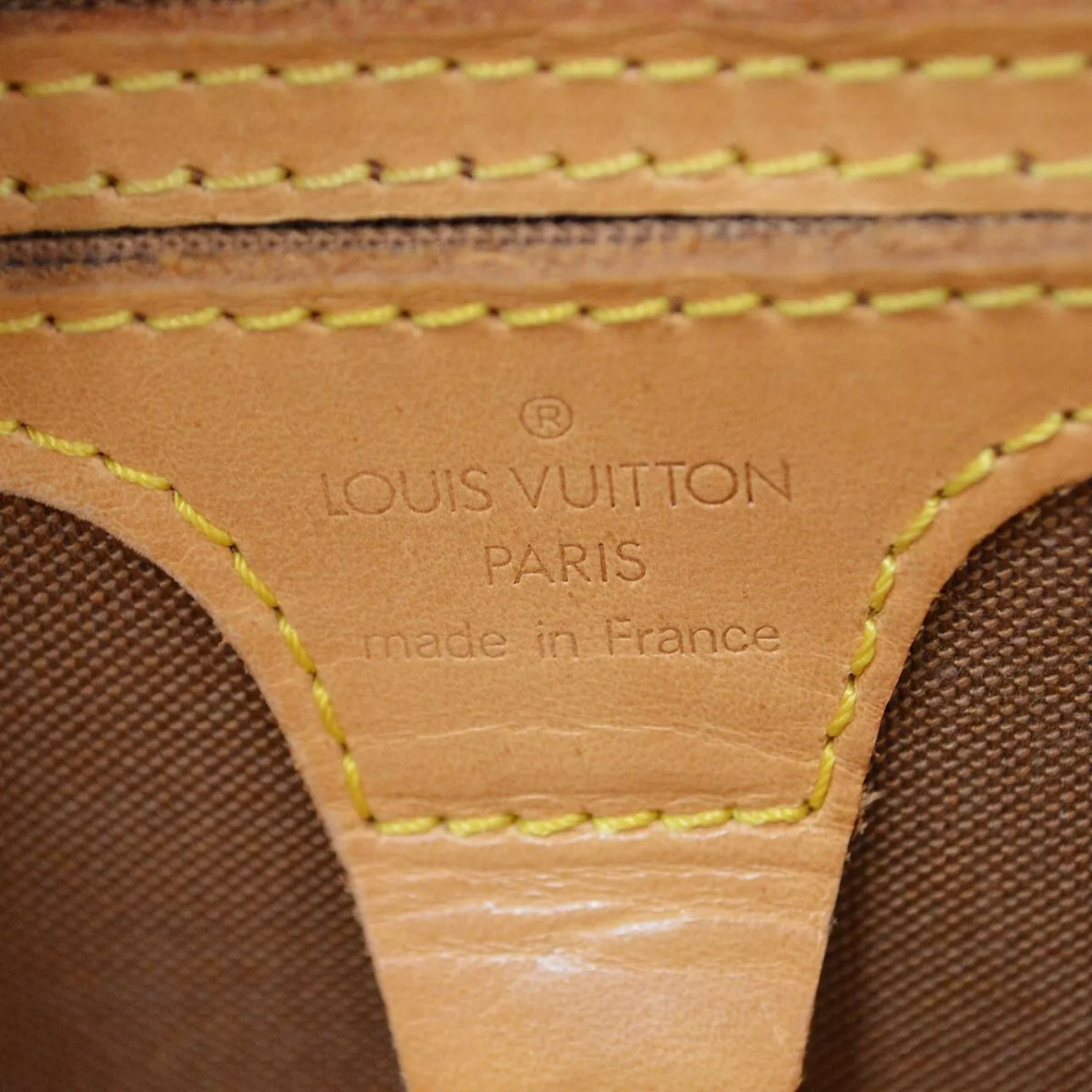 Monogram Ellipse PM Handbag