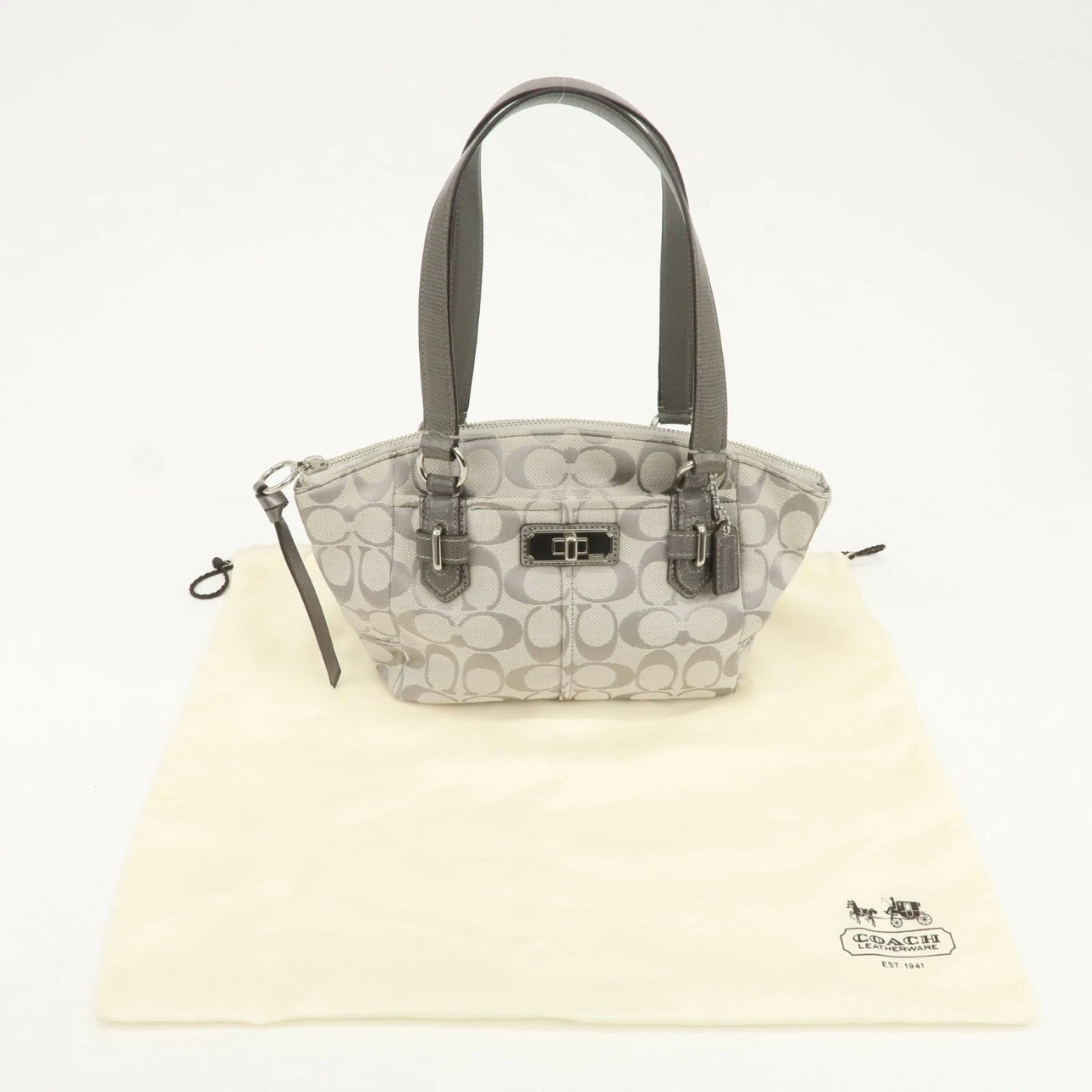 Coach Silver bag